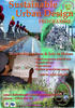 Sustainable Urban Design.small